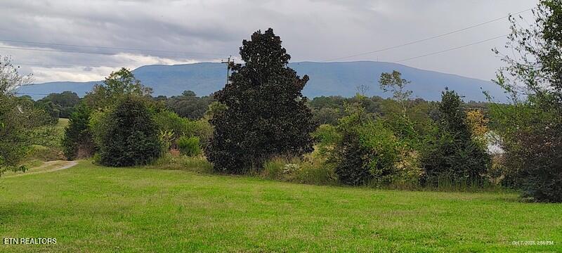 150 Larry Lynch Road Delano, TN 37325 - Photo 2 of 10 IMG_20251007_145636562_HDR_AE
