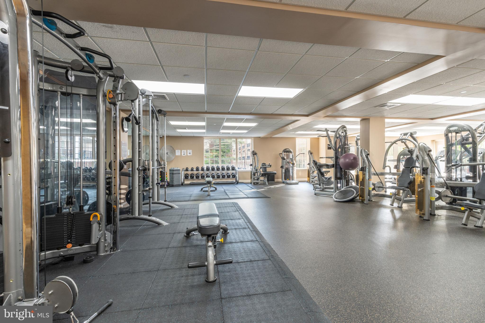 303 Captains Way Philadelphia, PA 19146 - Photo 45 of 56