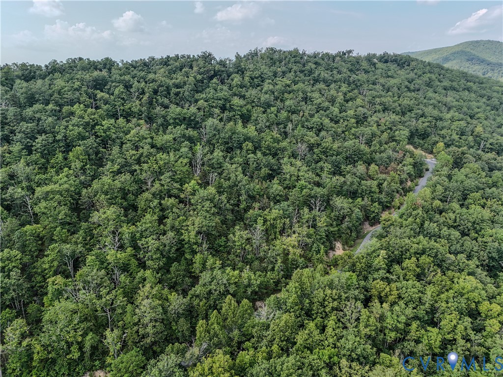 Tbd Fox Run Lane Waynesboro, VA 22980 - Photo 11 of 42