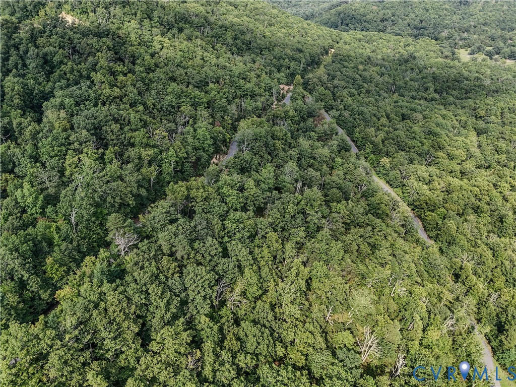 Tbd Fox Run Lane Waynesboro, VA 22980 - Photo 14 of 42 an outdoor view of forest