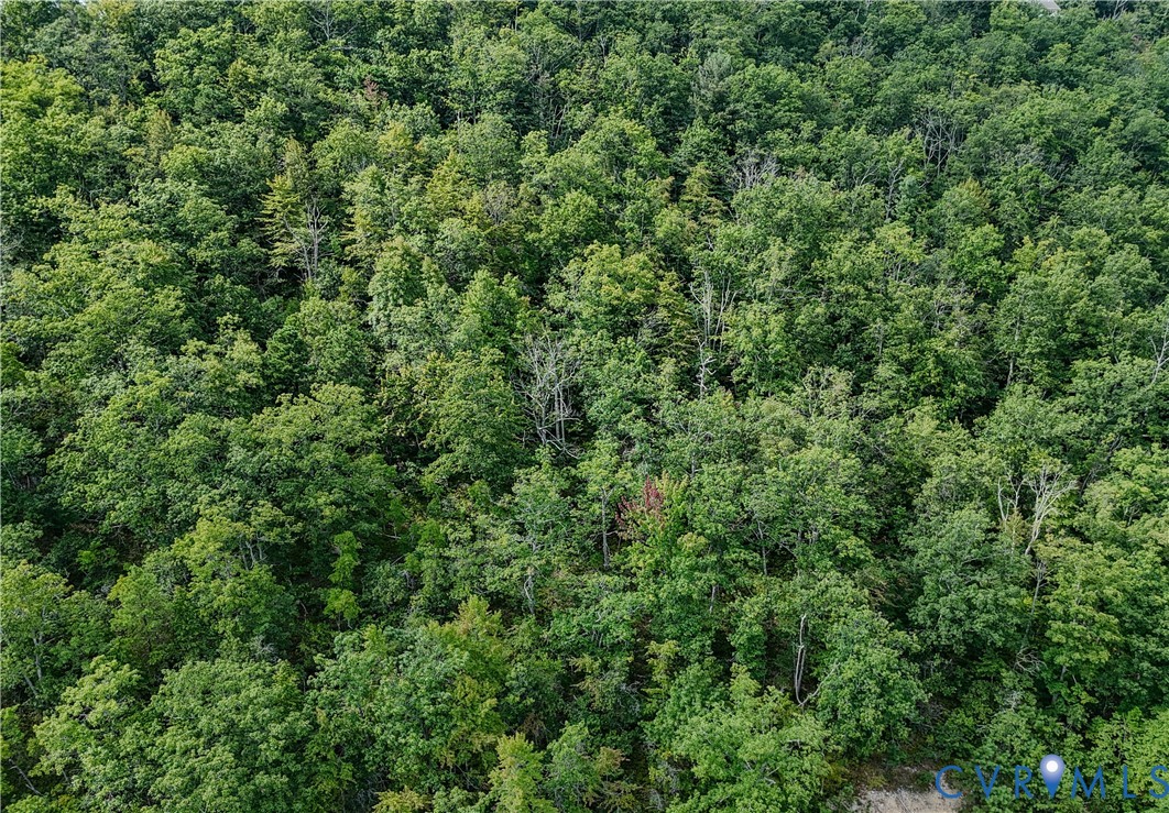 Tbd Fox Run Lane Waynesboro, VA 22980 - Photo 15 of 42 an outdoor view of a house with a tree