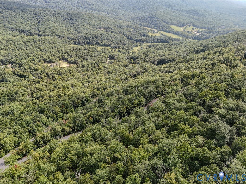 Tbd Fox Run Lane Waynesboro, VA 22980 - Photo 16 of 42 a view of a yard