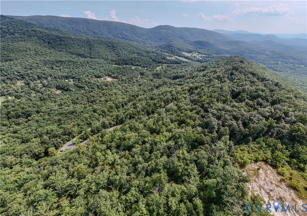 Tbd Fox Run Lane Waynesboro, VA 22980 - Photo 17 of 42 a view of a lush green hillside and a building