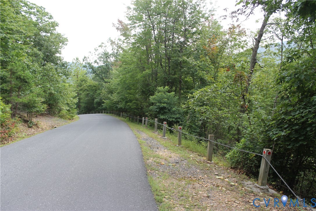Tbd Fox Run Lane Waynesboro, VA 22980 - Photo 20 of 42 a view of a forest with trees in the background