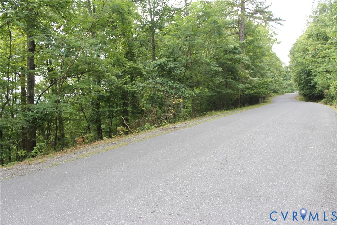 Tbd Fox Run Lane Waynesboro, VA 22980 - Photo 21 of 42 a view of a rural road with plants
