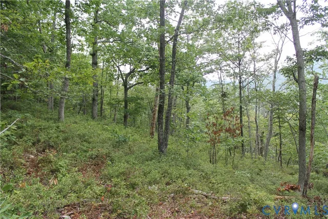 a view of a lush green space