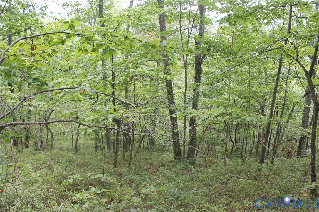 Tbd Fox Run Lane Waynesboro, VA 22980 - Photo 30 of 42 a view of a lush green space