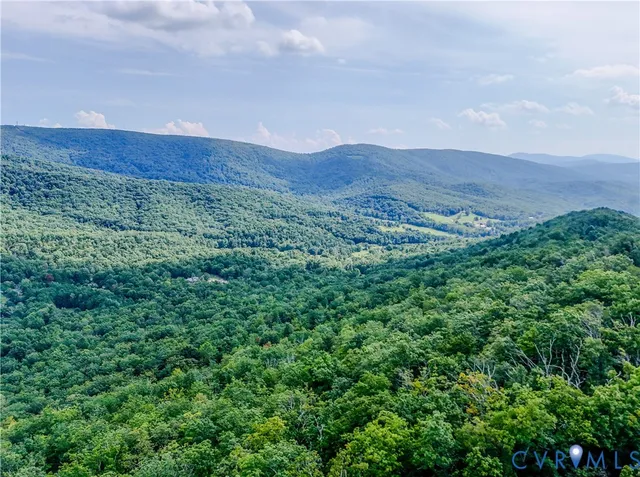 a view of a big yard with plants and large trees