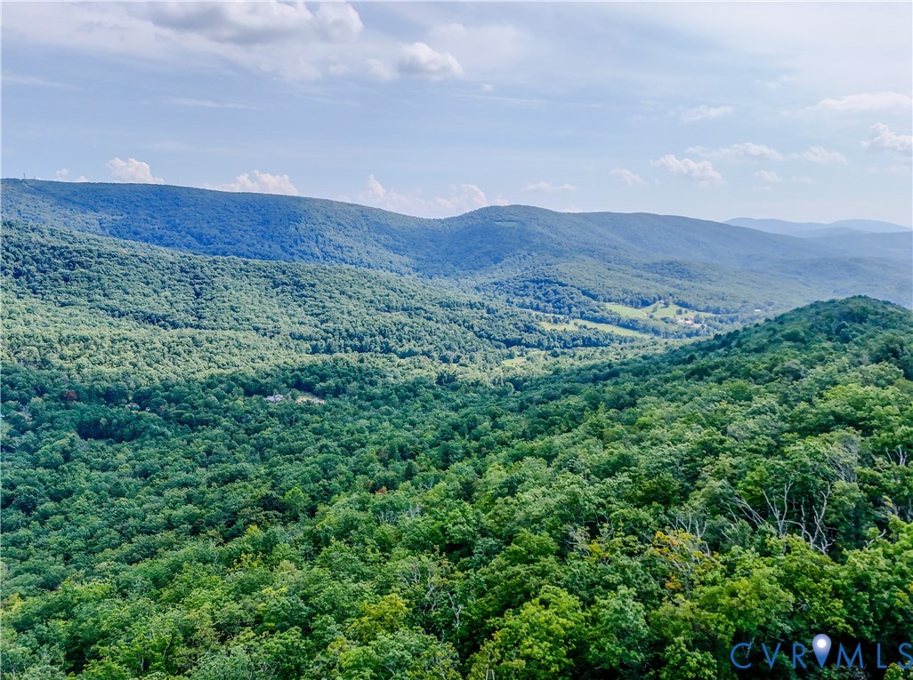 Tbd Fox Run Lane Waynesboro, VA 22980 - Photo 3 of 42 a view of a lush green field with mountains in the background