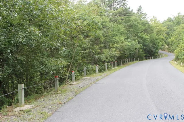 a view of a forest with a street