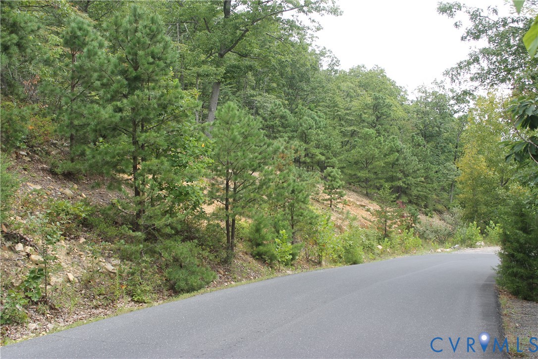 Tbd Fox Run Lane Waynesboro, VA 22980 - Photo 39 of 42 a view of a road from a balcony