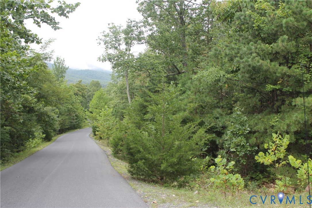 Tbd Fox Run Lane Waynesboro, VA 22980 - Photo 40 of 42 a view of a forest with a street