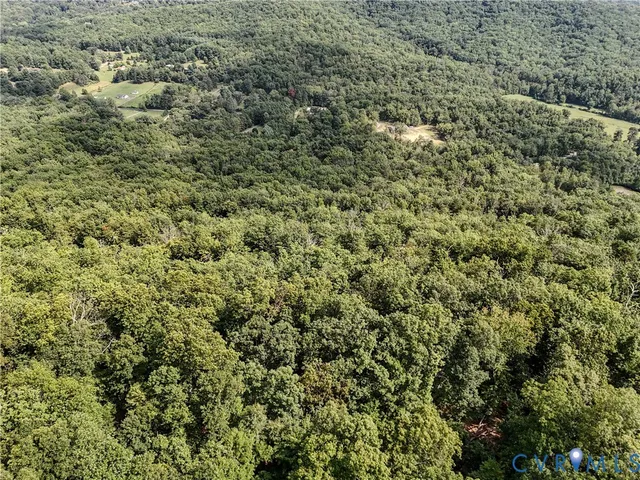 a view of a lush green hillside and a mountain