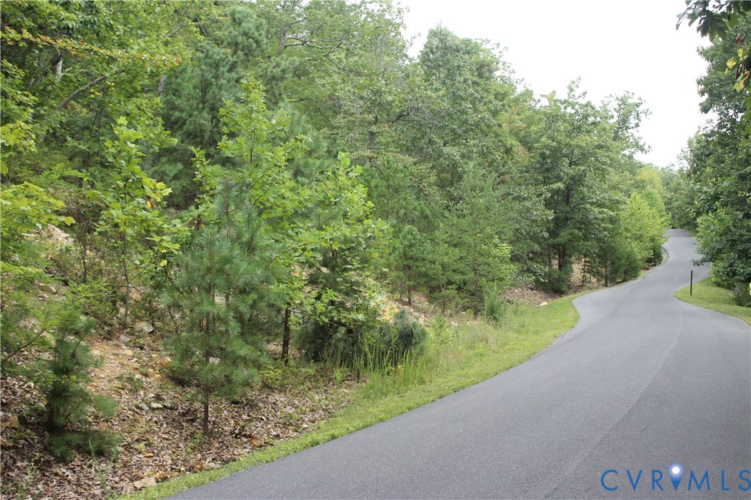 Tbd Fox Run Lane Waynesboro, VA 22980 - Photo 41 of 42 a view of a yard with a tree