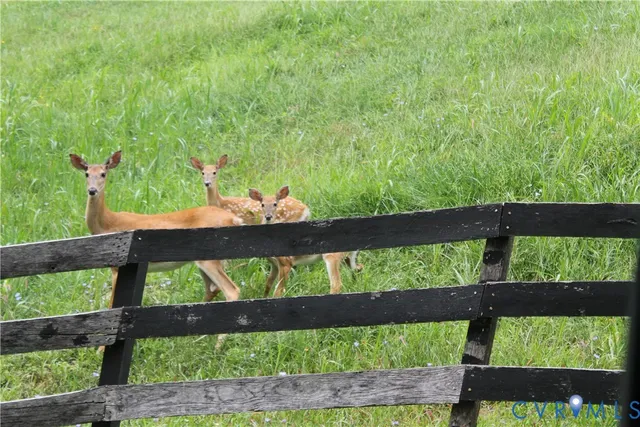 $99,995 | Tbd Fox Run Lane, Waynesboro, VA 22980