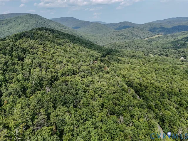 a view of a large mountains with a lush green forest