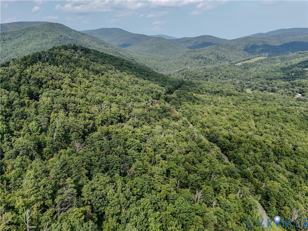 Tbd Fox Run Lane Waynesboro, VA 22980 - Photo 5 of 42 a view of a lush green hillside and a mountain