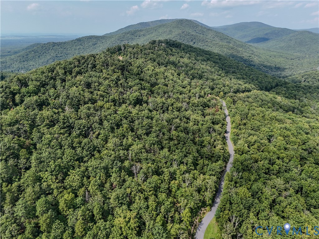Tbd Fox Run Lane Waynesboro, VA 22980 - Photo 6 of 42 a view of a large mountains with a lush green forest