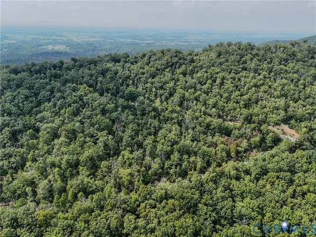 an aerial view of trees and covered with fog