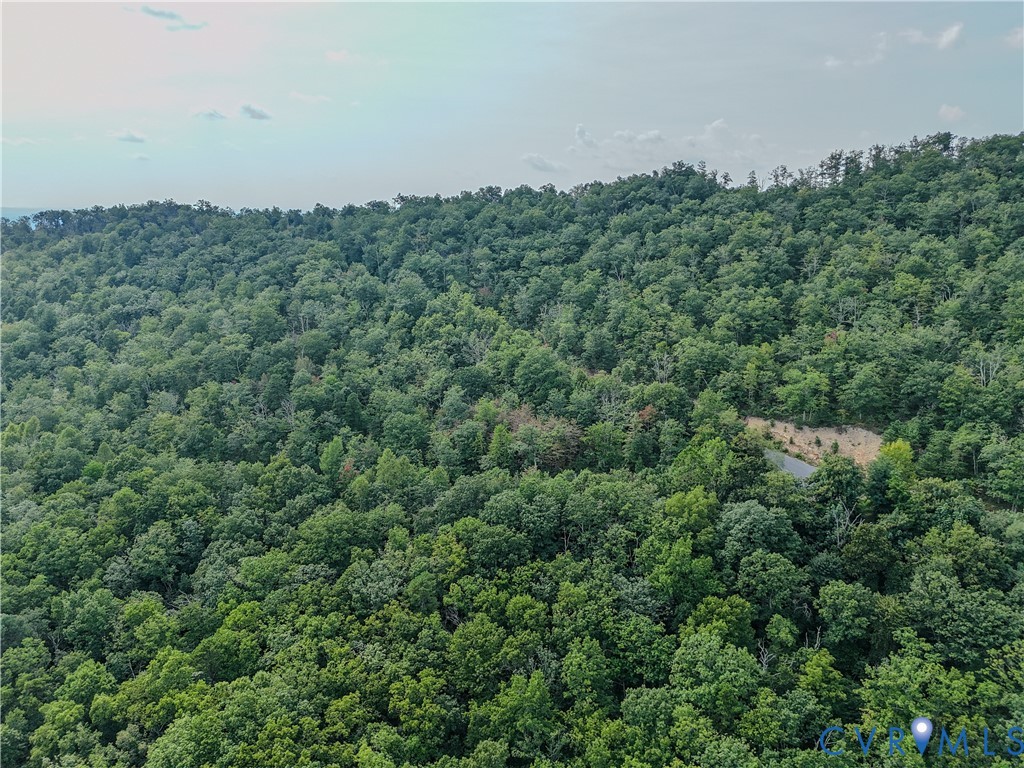 Tbd Fox Run Lane Waynesboro, VA 22980 - Photo 9 of 42 an aerial view of a residential houses with city view