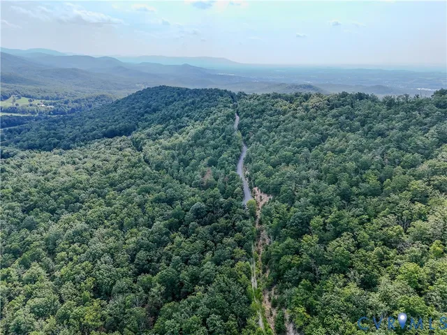 a view of a forest with a mountain