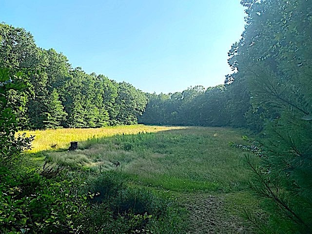 391 Cooper Hill Road Burrillville, RI 02839 - Photo 13 of 17