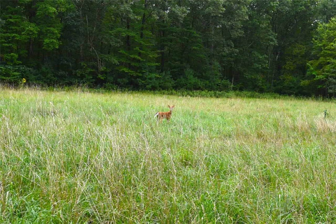 391 Cooper Hill Road Burrillville, RI 02839 - Photo 15 of 17