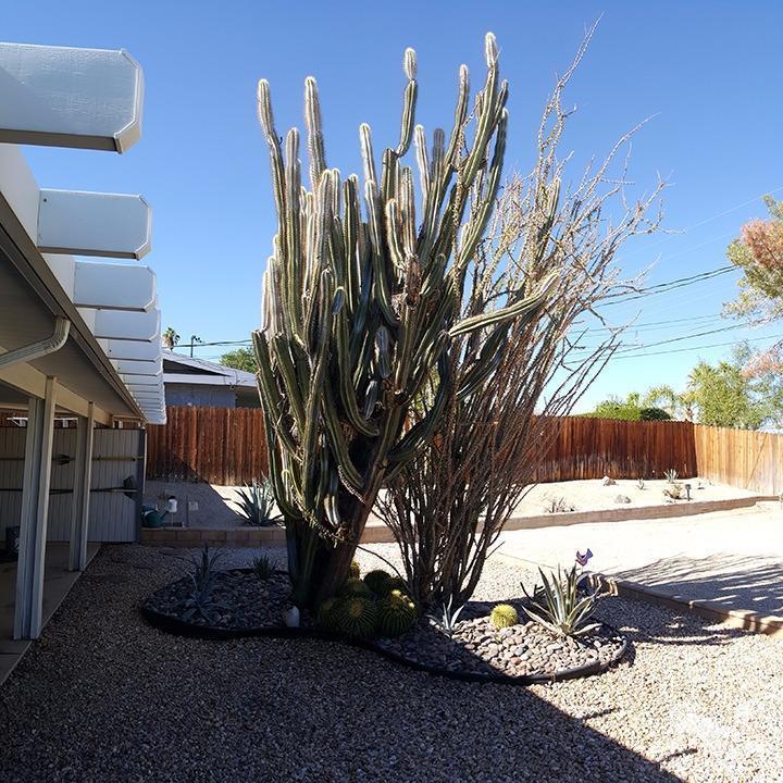 68550 Sharpless Road Cathedral City, CA 92234 - Photo 48 of 71 Additional Photo