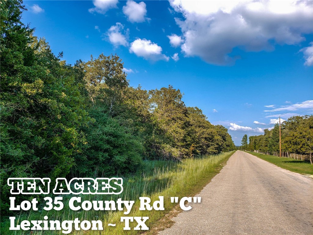 Lot 35 County Road Lexington, TX 78947 - Photo 1 of 1