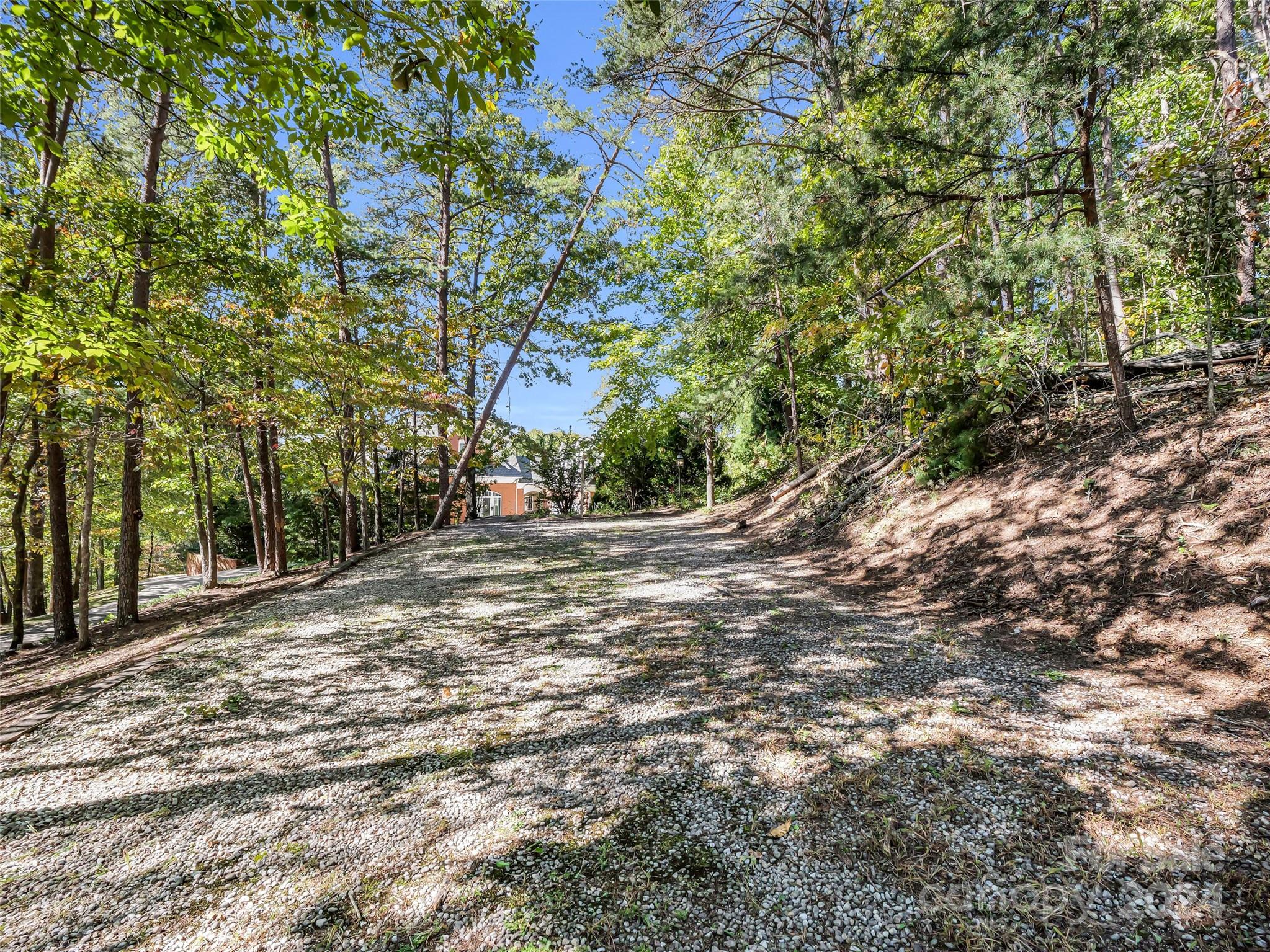 181 Coxe Ridge Rutherfordton, NC 28139 - Photo 3 of 48