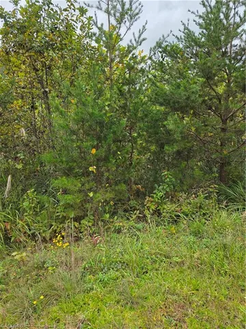 $13,450 | 0 Holly Brook Street, North Wilkesboro, NC 28659