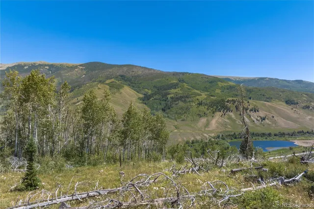 a view of a mountain in the distance in a field