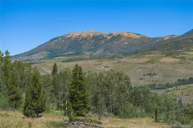 a view of a field with trees in background