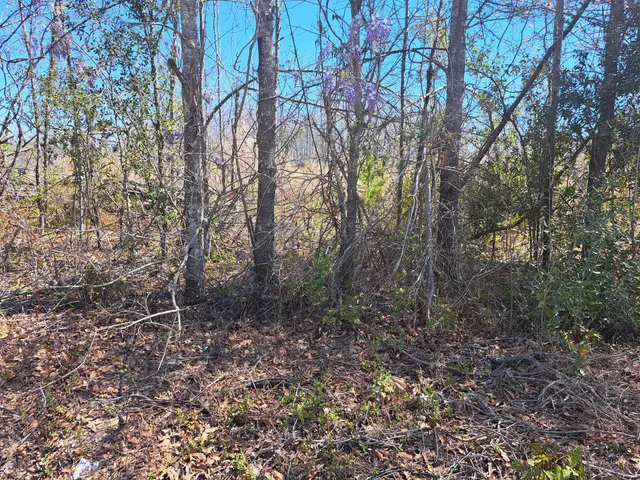 $80,000 | S-38-200 Laval Road, Santee, SC 29142