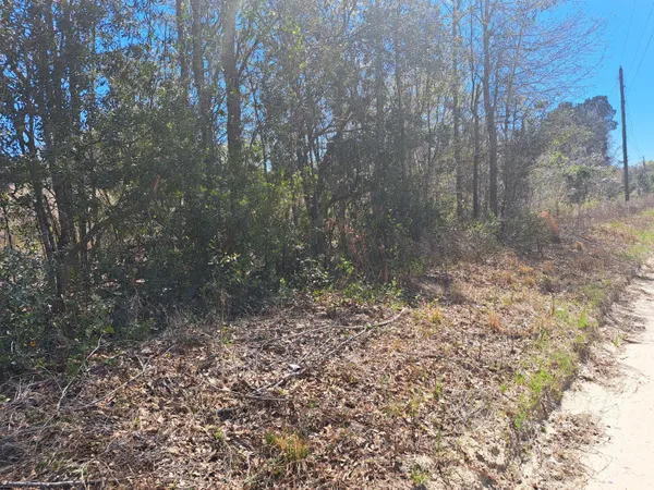$80,000 | S-38-200 Laval Road, Santee, SC 29142