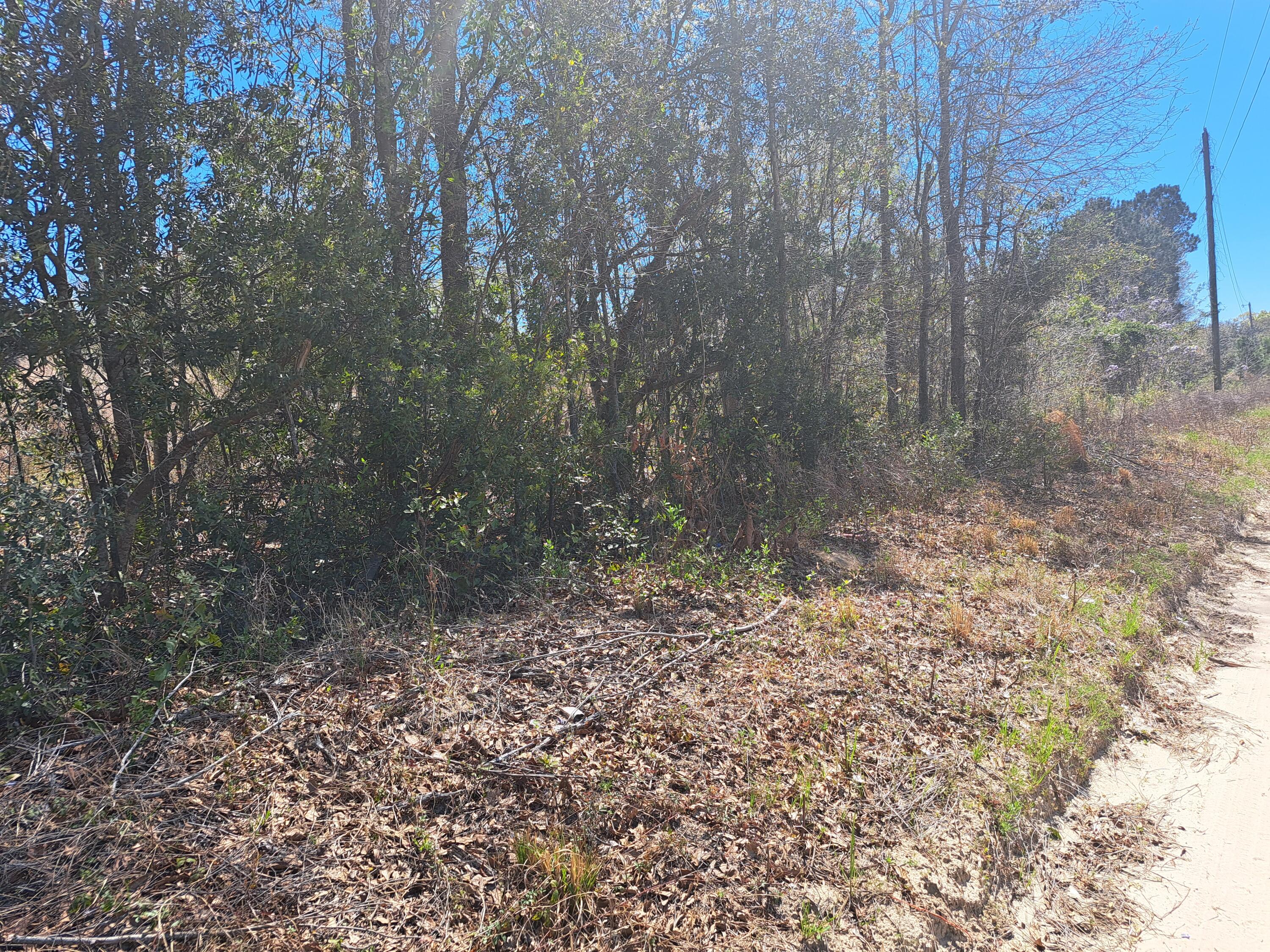 S-38-200 Laval Road Santee, SC 29142 - Photo 2 of 3 20250326_131339