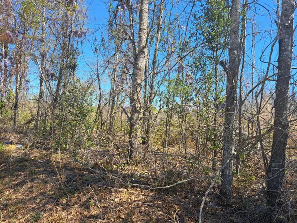 $80,000 | S-38-200 Laval Road, Santee, SC 29142