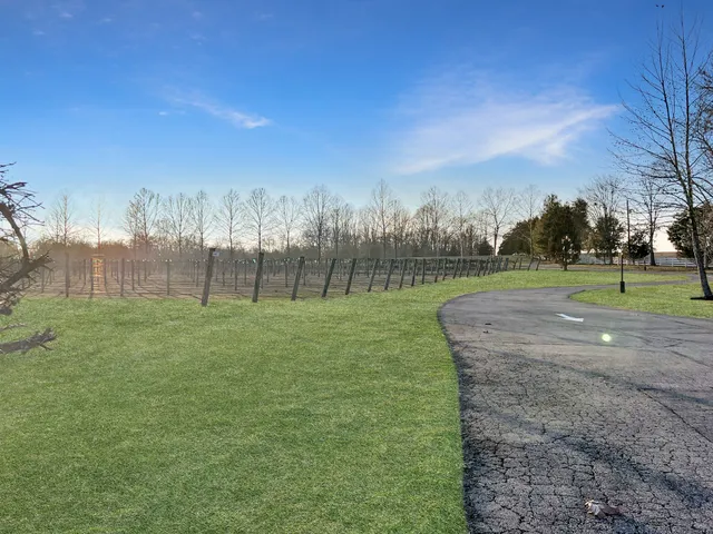 a view of a yard in front of a house with large tree