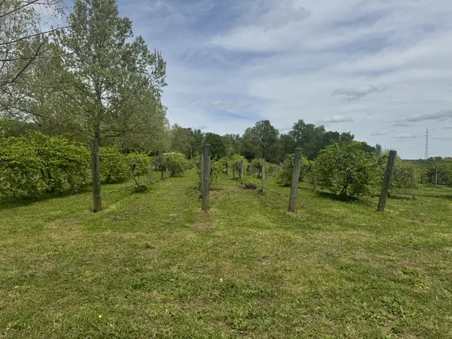 $1,216,000 | 2982 Harvey Bowden Road, Springville, TN 38256