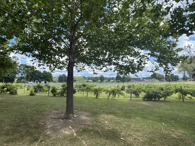 $1,216,000 | 2982 Harvey Bowden Road, Springville, TN 38256