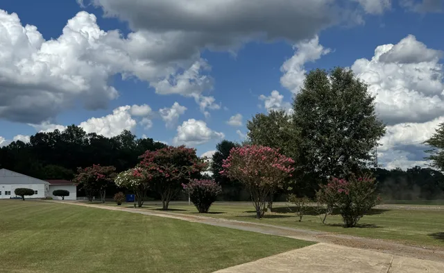 $1,216,000 | 2982 Harvey Bowden Road, Springville, TN 38256