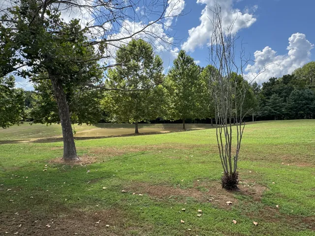 $1,216,000 | 2982 Harvey Bowden Road, Springville, TN 38256