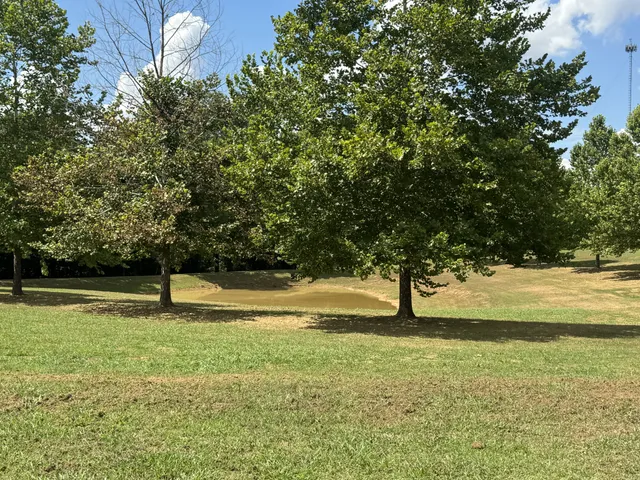 $1,216,000 | 2982 Harvey Bowden Road, Springville, TN 38256