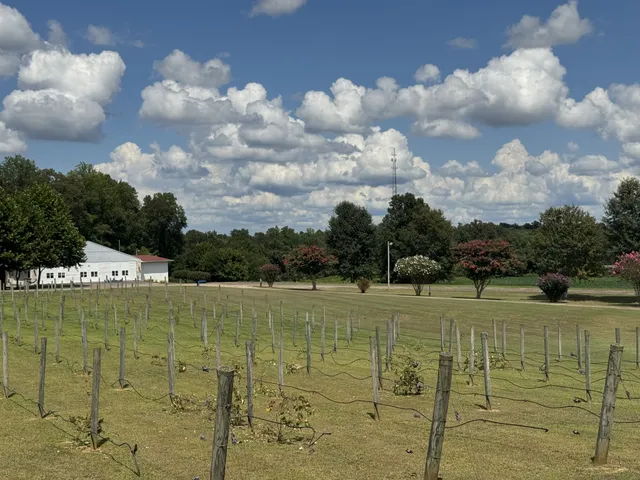 $1,216,000 | 2982 Harvey Bowden Road, Springville, TN 38256