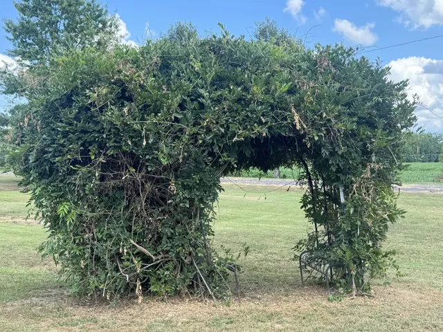 $1,216,000 | 2982 Harvey Bowden Road, Springville, TN 38256