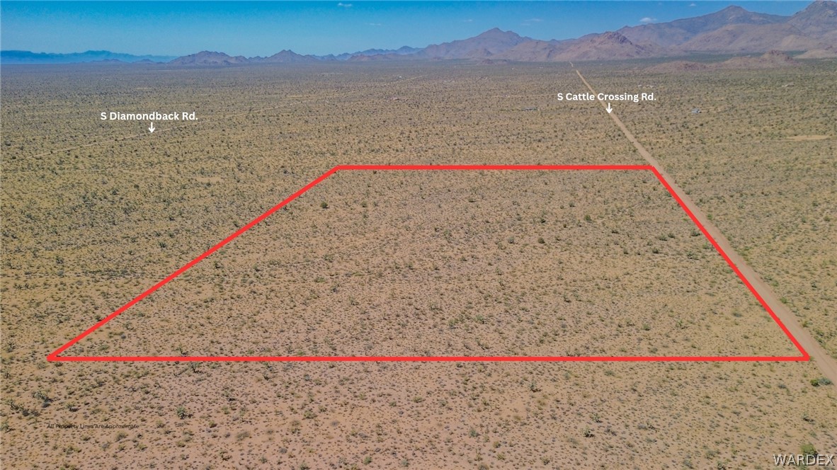 169 South Cattle Crossing Road Yucca, AZ 86438 - Photo 5 of 13