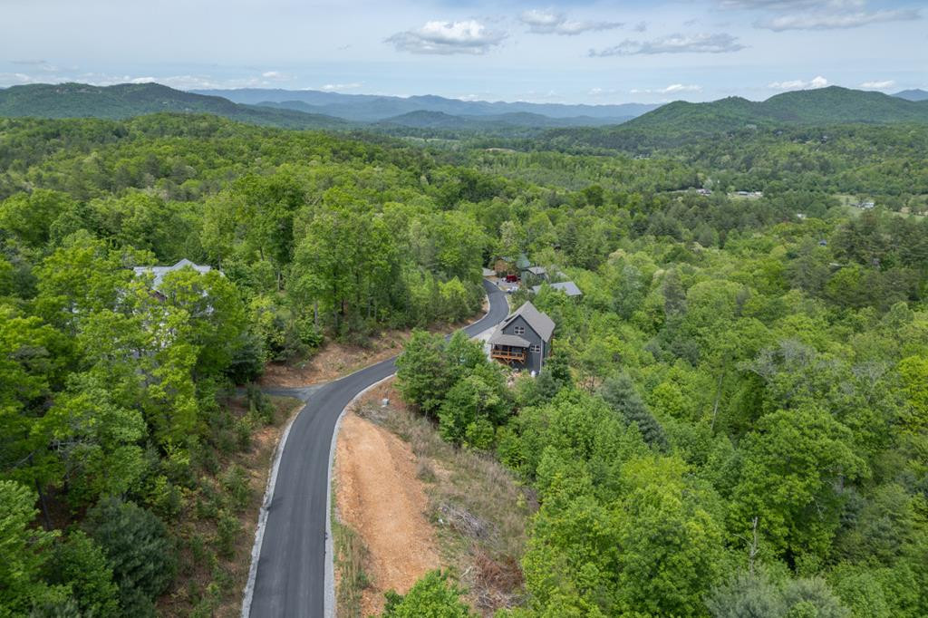 455 Point Overlook Trail Murphy, NC 28906 - Photo 46 of 56
