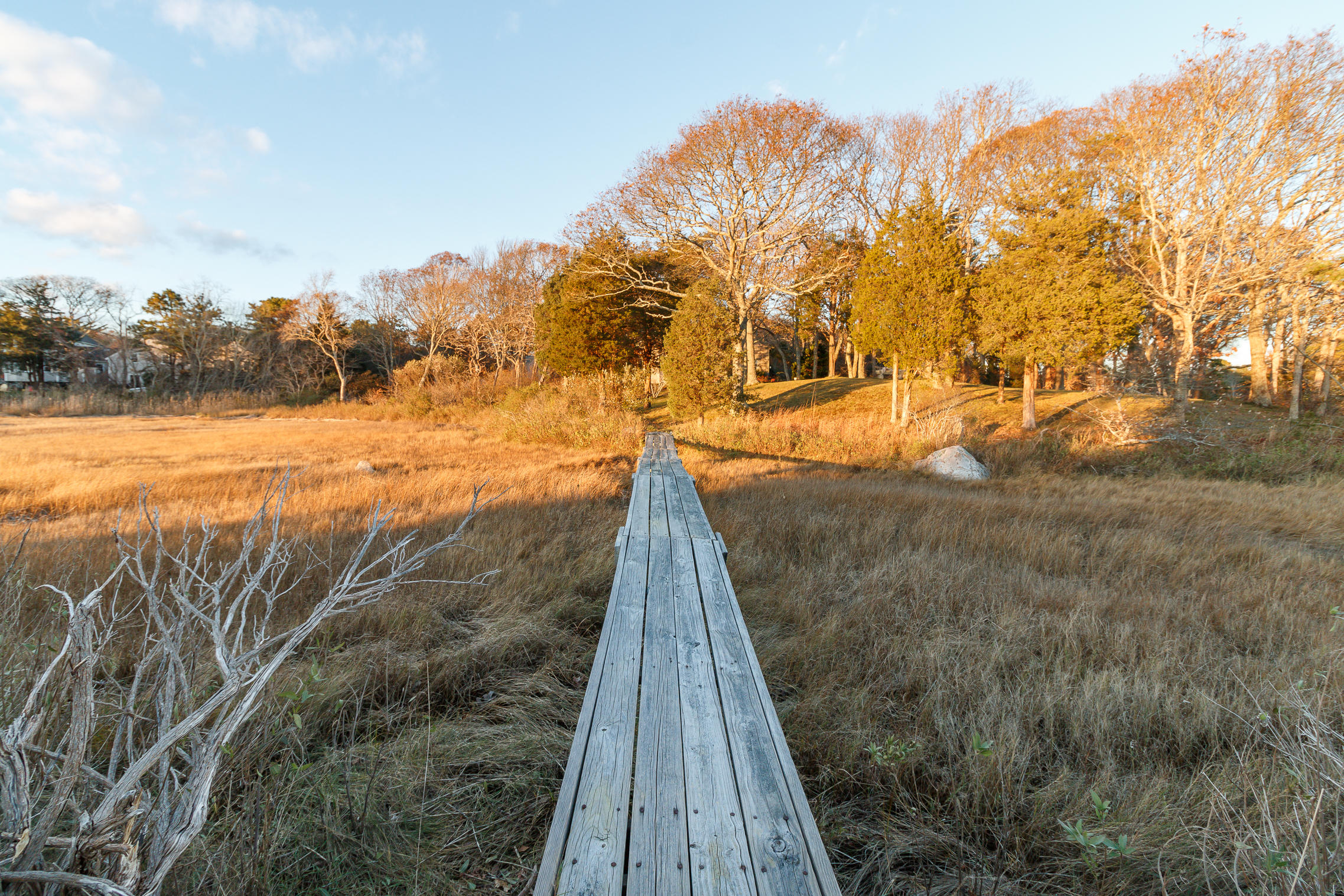 80 Old Dam Road Bourne, MA 02532 - Photo 27 of 31 a view of a yard with an ocean