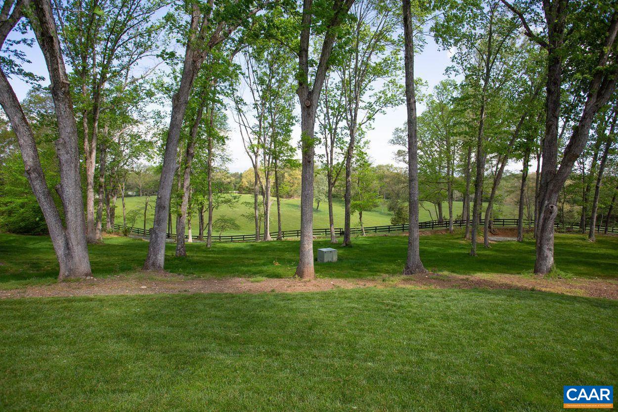 3923 Free Union Road Charlottesville, VA 22901 - Photo 41 of 52 a view of a park with large trees