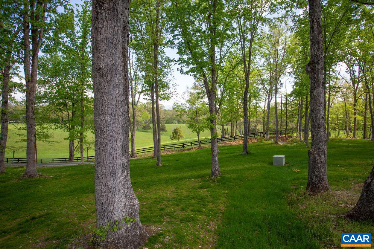 3923 Free Union Road Charlottesville, VA 22901 - Photo 42 of 52 a backyard of a house with lots of green space